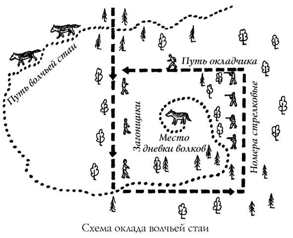 Охота на волка